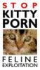 kitty.gif